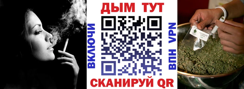 Канабис сатива  Лахденпохья 